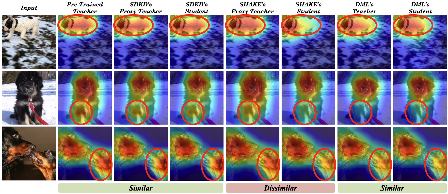SDKD has a high similarity between the pre-trained teacher, teacher, and student, paralleling the effects observed with DML and outperforming SHAKE, a notable proxy teacher-based method. This suggests that SDKD effectively transfers nearly all knowledge from the pre-trained teacher to the student through the proxy teacher.